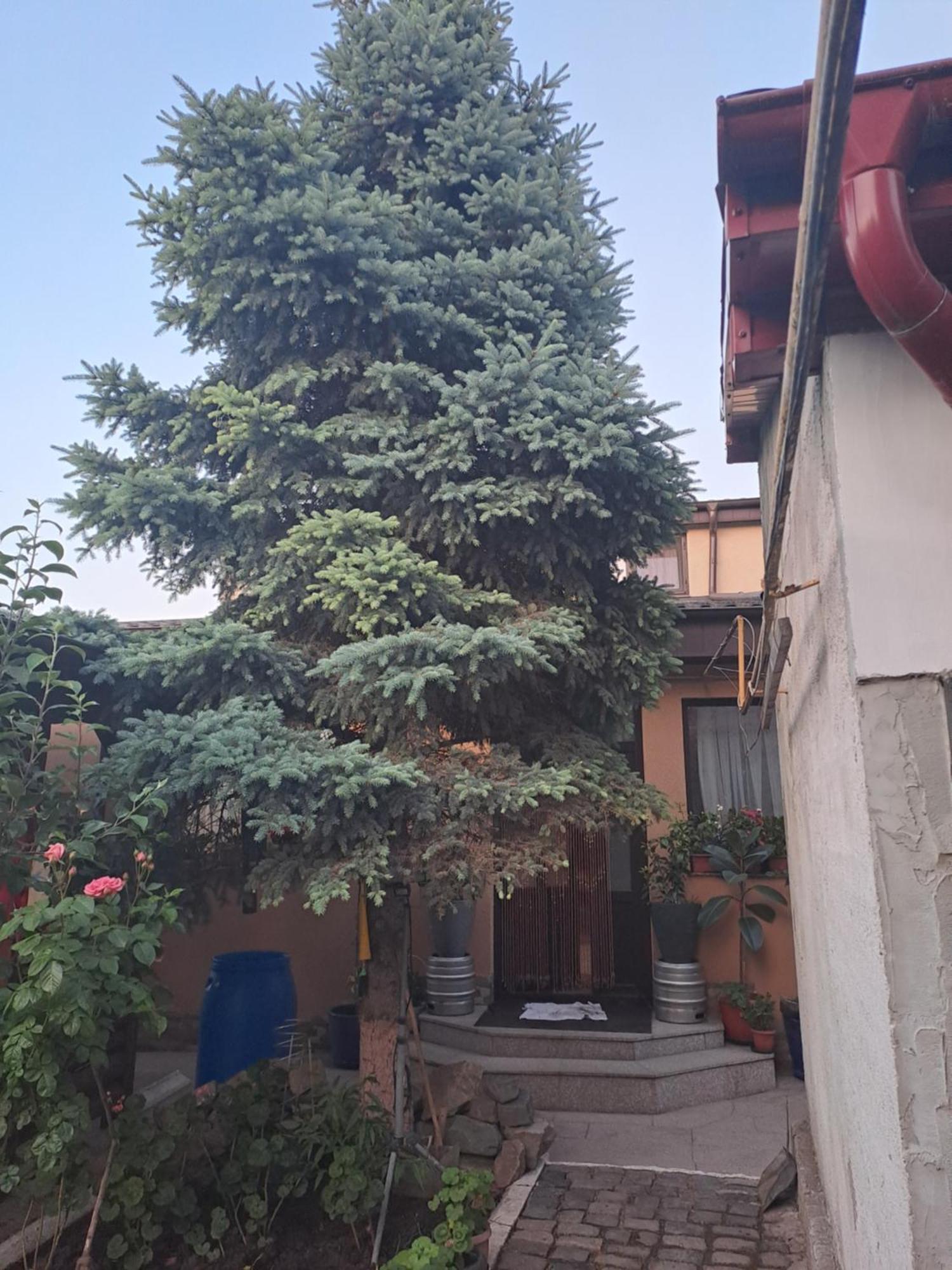 Casa Rusu Apartment Galaţi Exterior foto